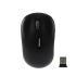 Wireless Mouse R545