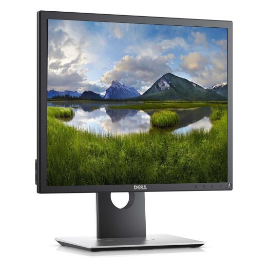 dell P 1917s dell P 1917s